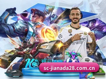 加拿大28 APP